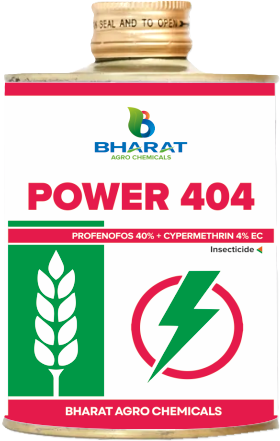 Power 404